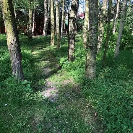 Villa 800m To The Lovely Little House Good View *